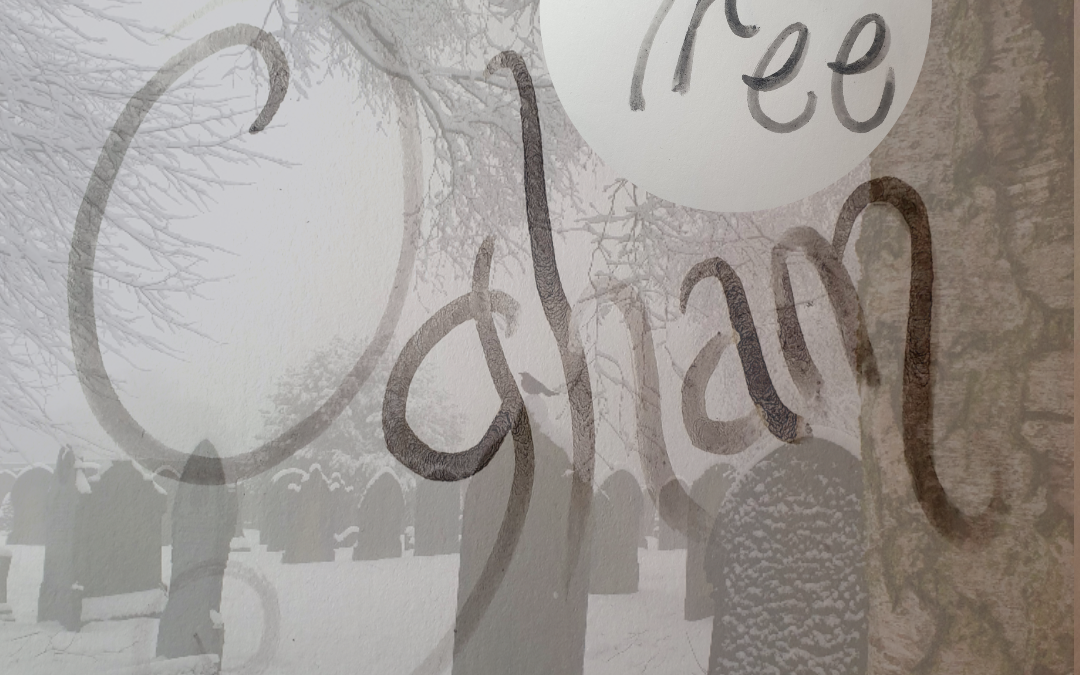The Tree Ogham – 19/03/2021